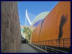 L'Oceanogràfic Oceanarium 007